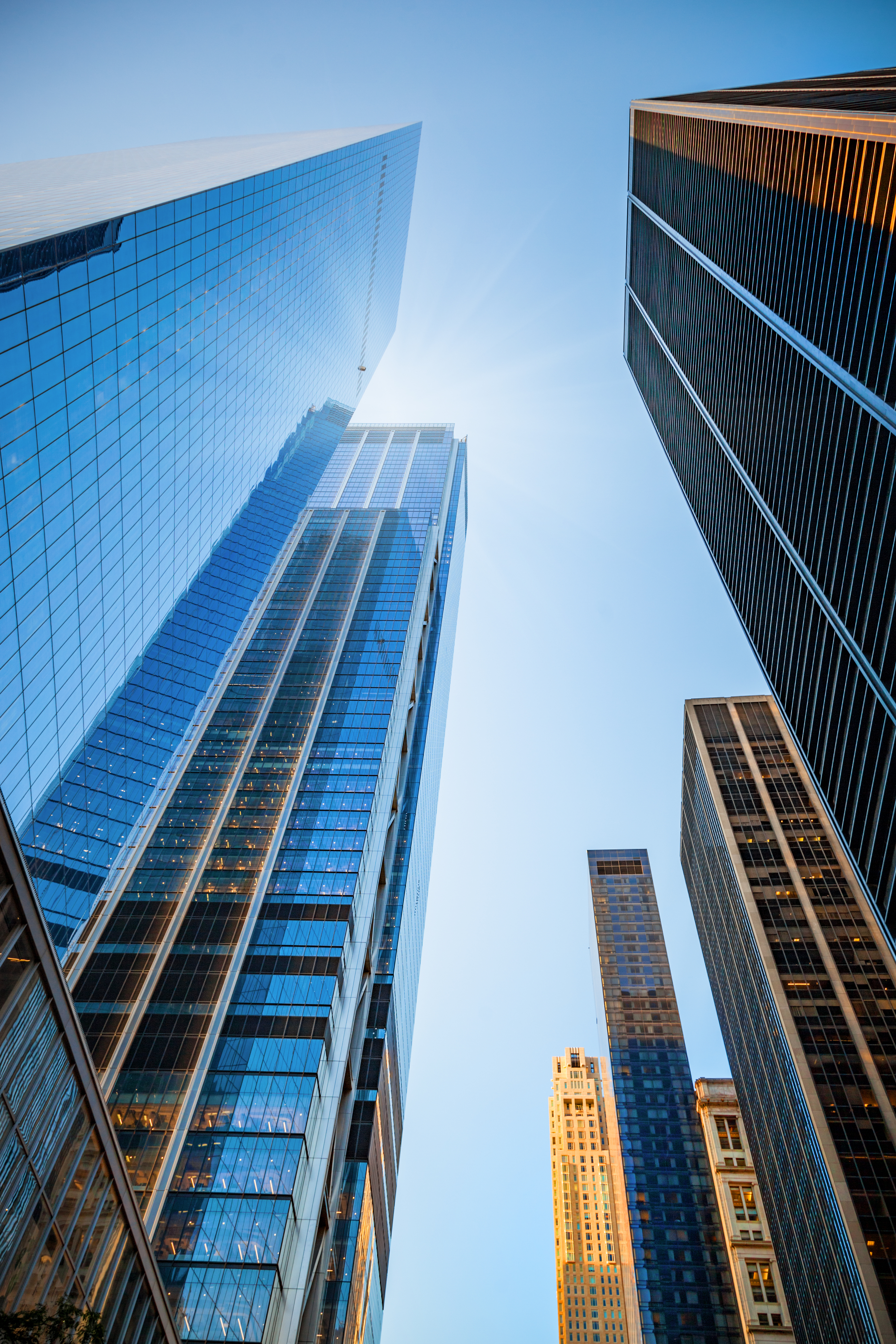 高層ビルを見上げた様子