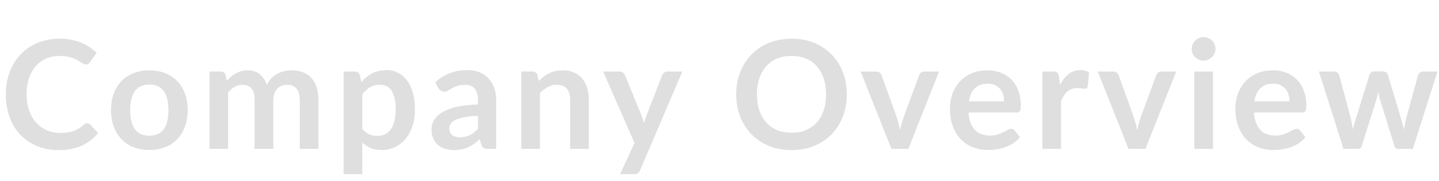 Company Overview
